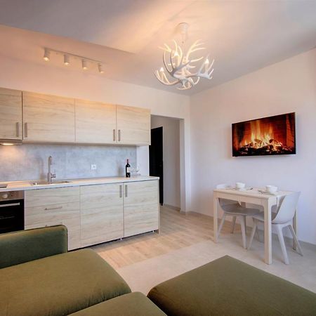 Pinewood Apartment Borovec Kültér fotó
