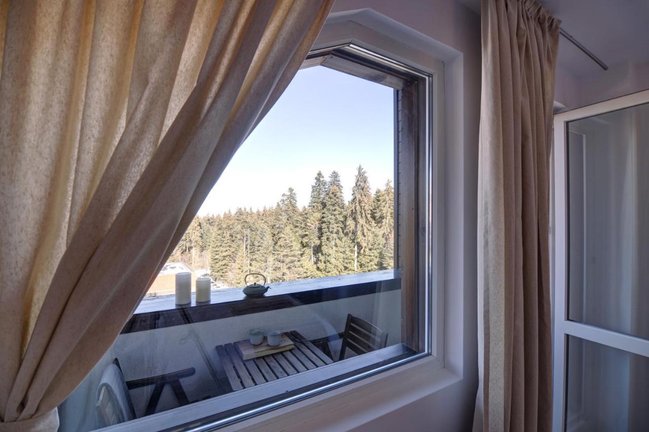 Pinewood Apartment Borovec Kültér fotó