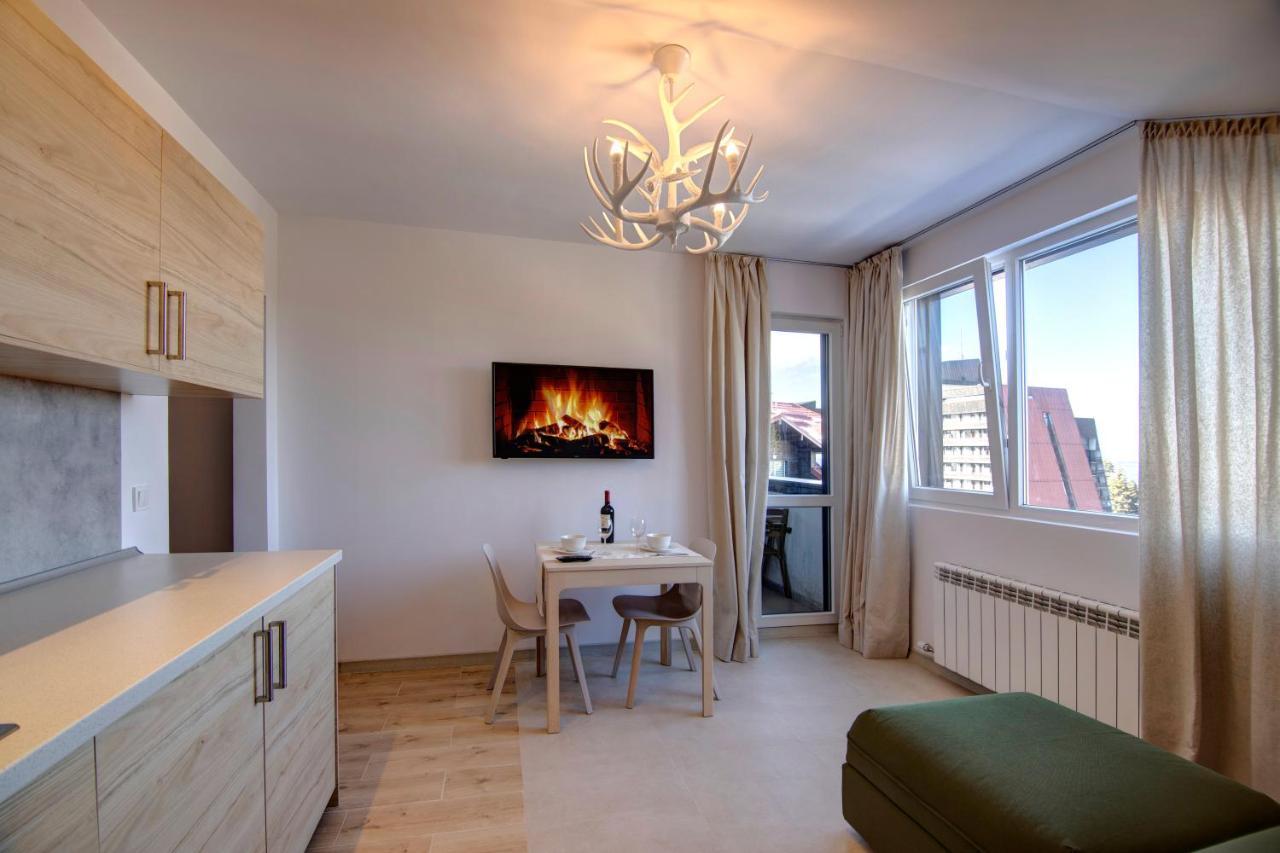 Pinewood Apartment Borovec Kültér fotó