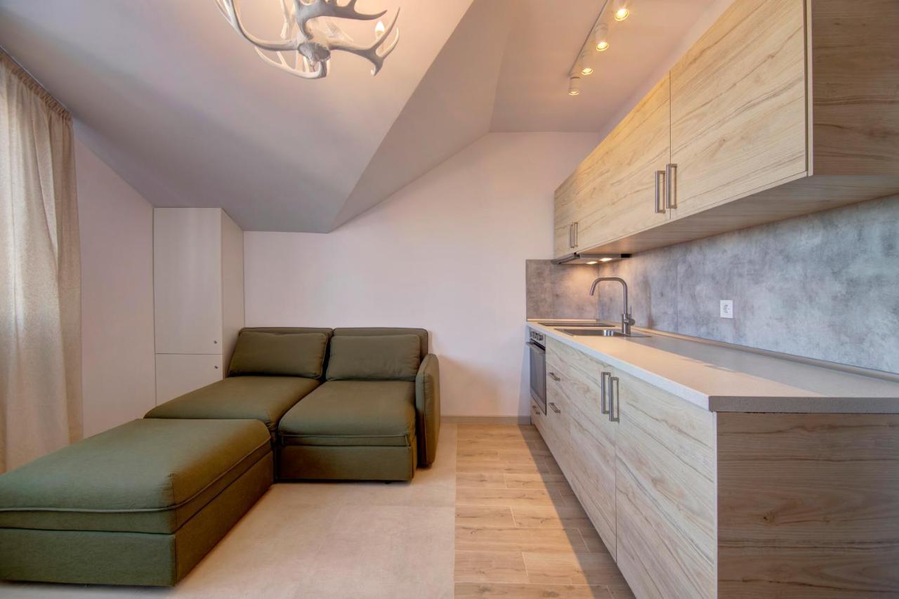 Pinewood Apartment Borovec Kültér fotó