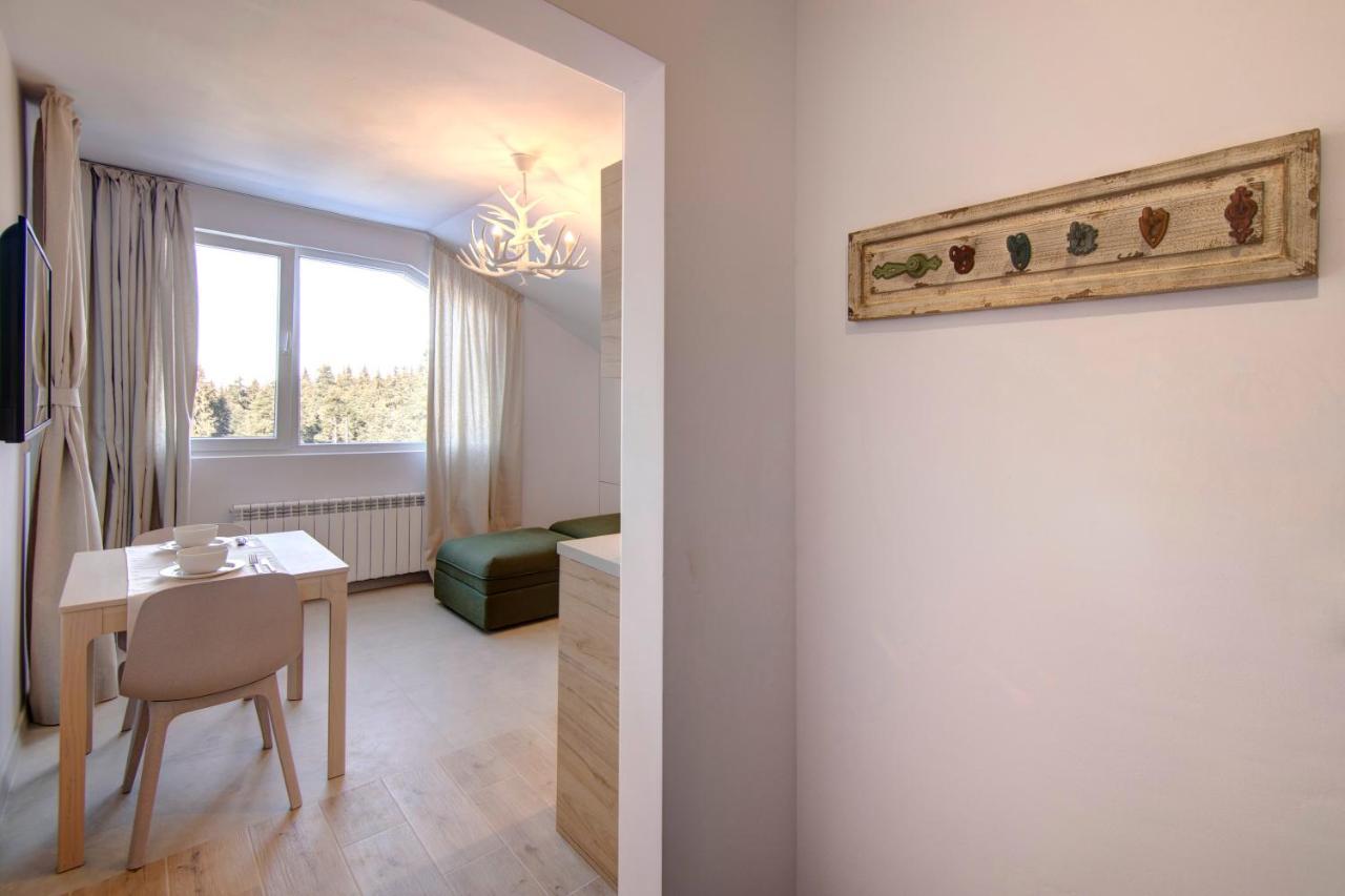 Pinewood Apartment Borovec Kültér fotó