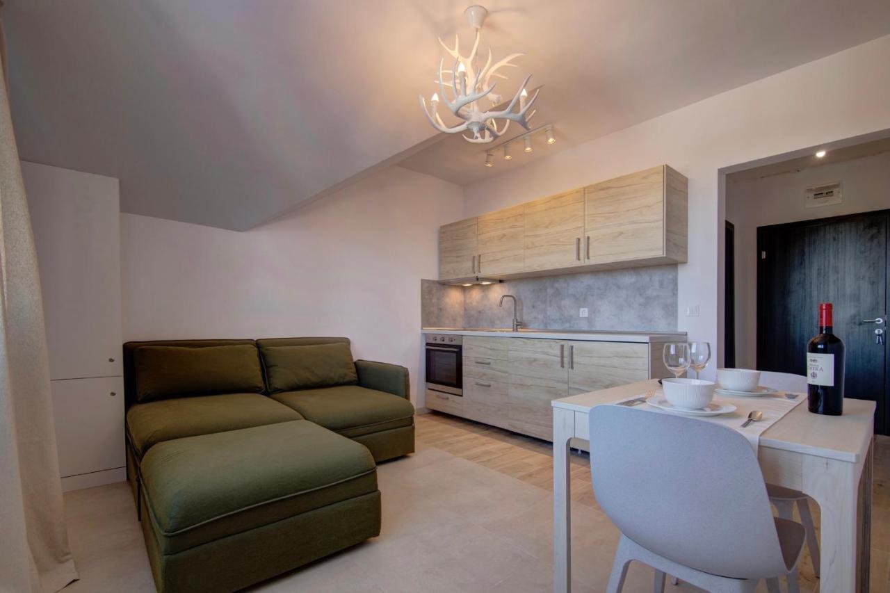 Pinewood Apartment Borovec Kültér fotó