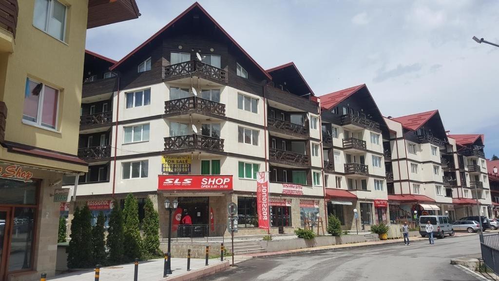 Pinewood Apartment Borovec Kültér fotó